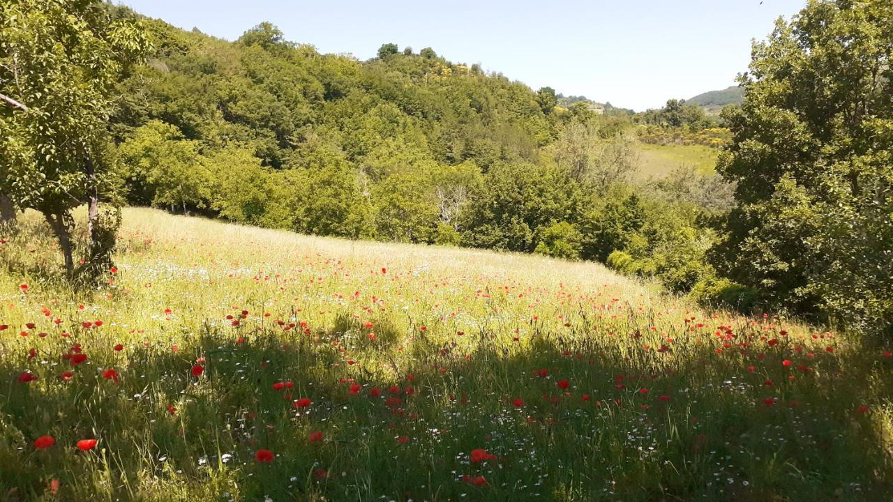 Agriturismo Marcofrate, A Retreat In The Nature 발토피나 외부 사진