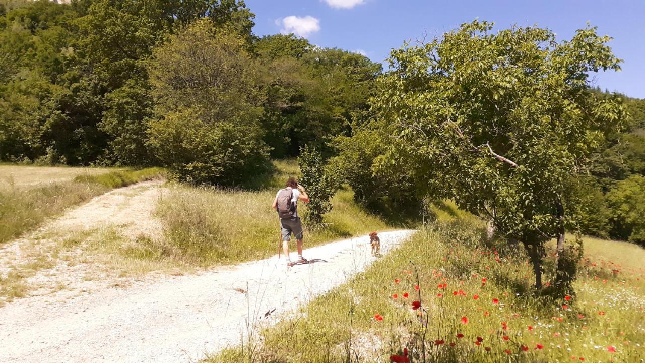 Agriturismo Marcofrate, A Retreat In The Nature 발토피나 외부 사진